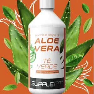 JUS ET PULPE D’ALOE VERA THÉ VERT 1 LITRE INTB011